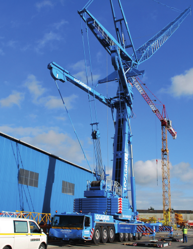 grue bleu en action